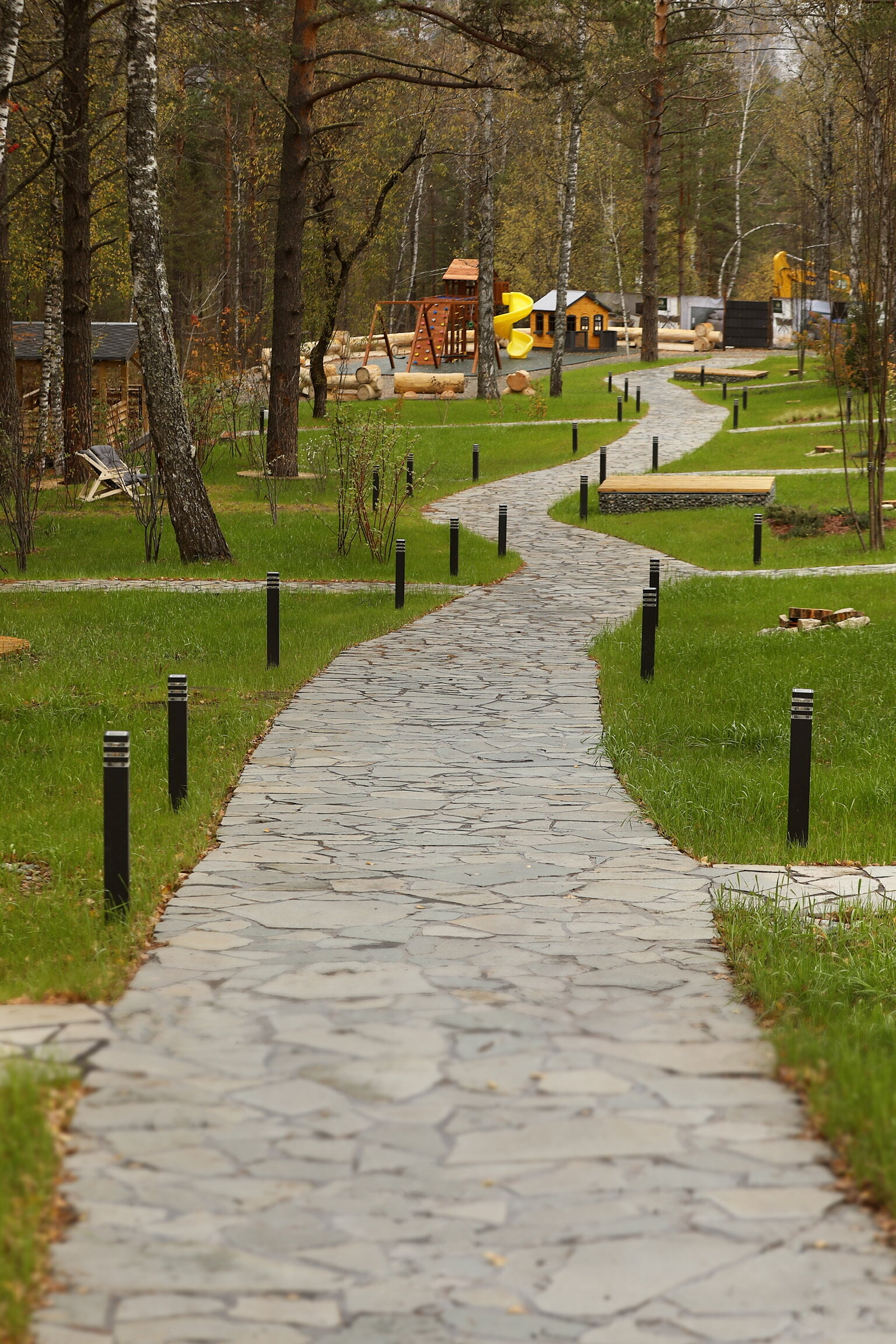 Фото Forest Green