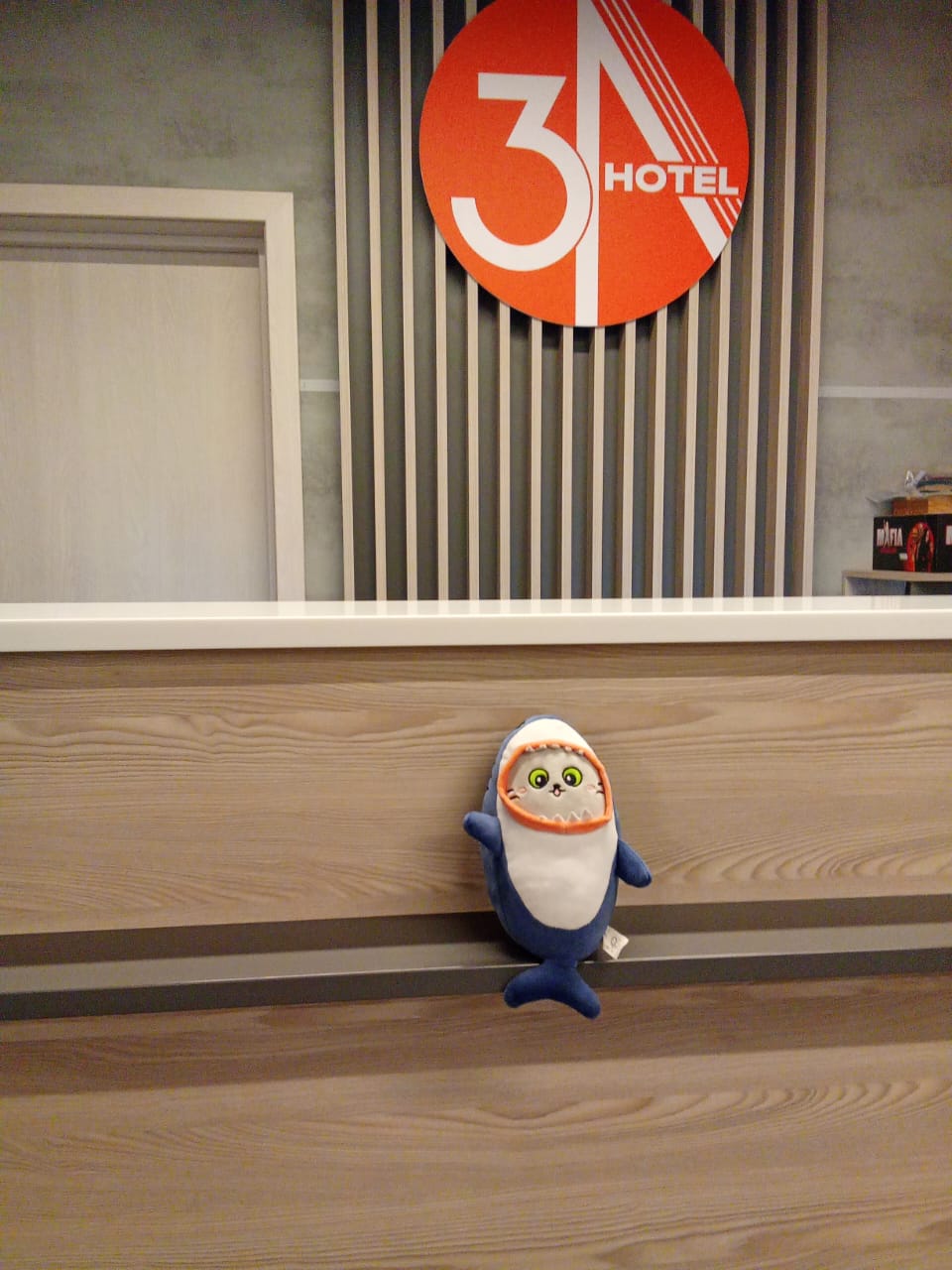 Фото 3А Шахты М4