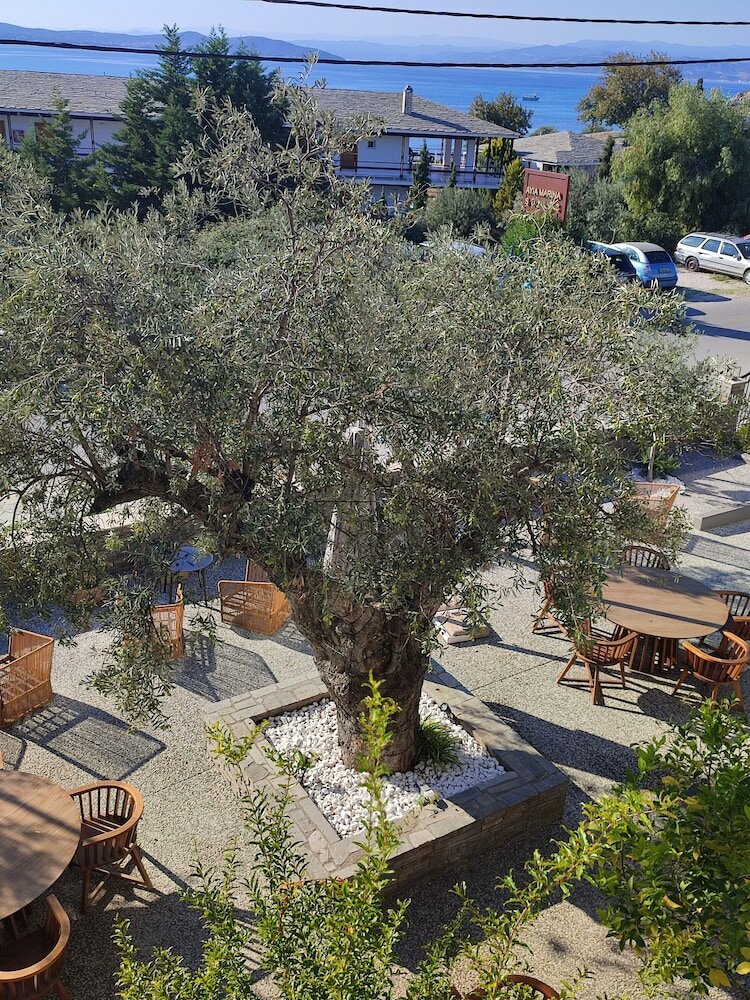 Фото Ayia Marina Suites