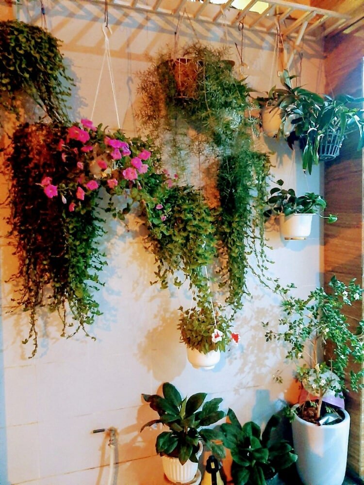 Фото Alibaba Hotel