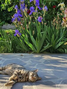 Гостиница Kesabella Touristic House