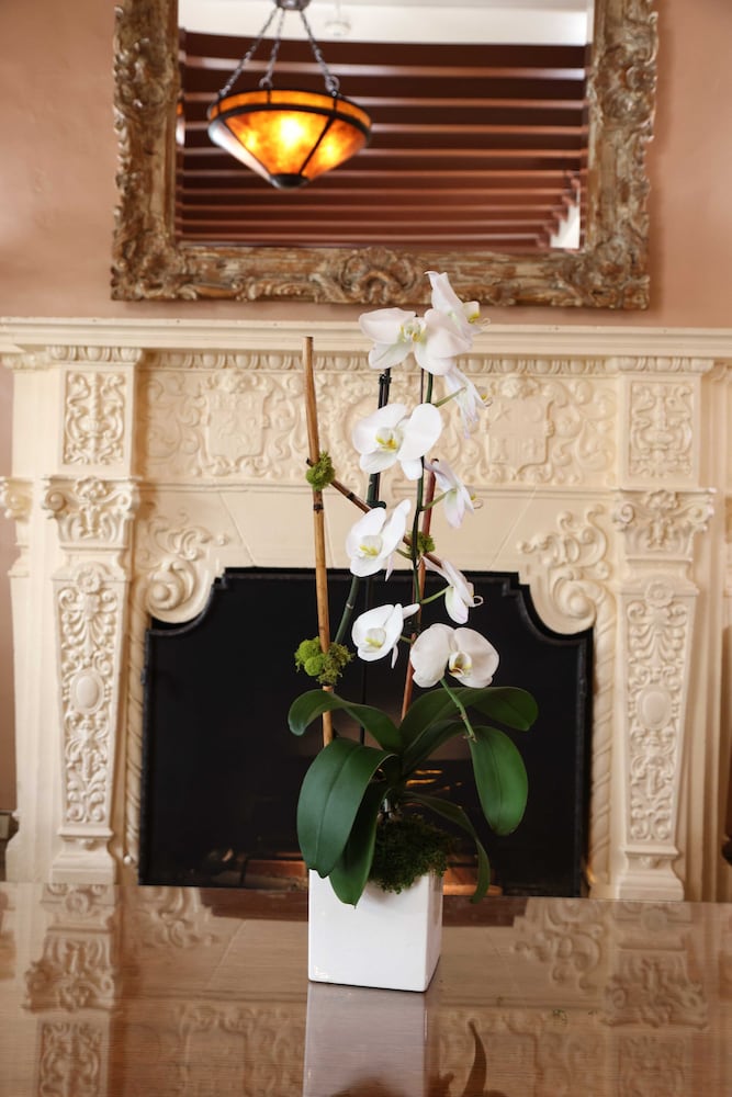 Фото Hotel Carmel