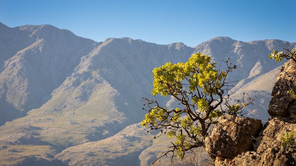 Фото Wildehondekloof