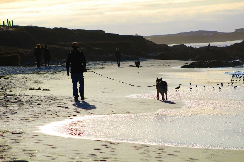 Фото Pacific Gardens Inn