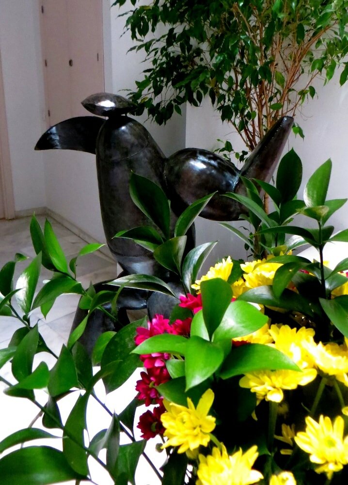 Фото Hotel Un Patio al Sur