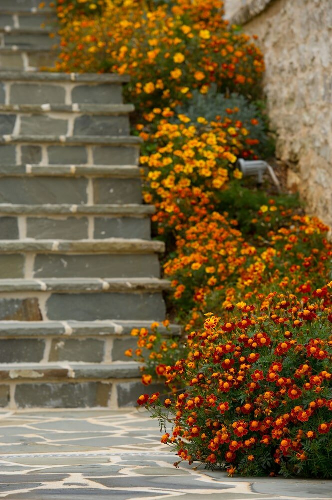 Фото Mir boutique hotel