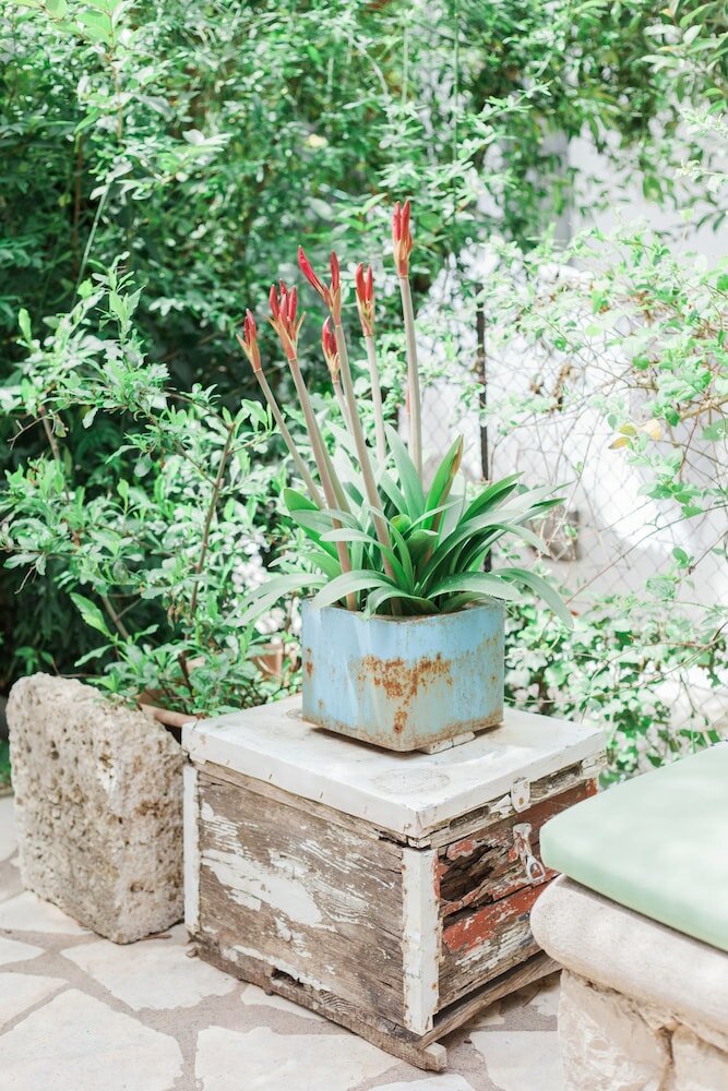 Фото Afroditi Pansion