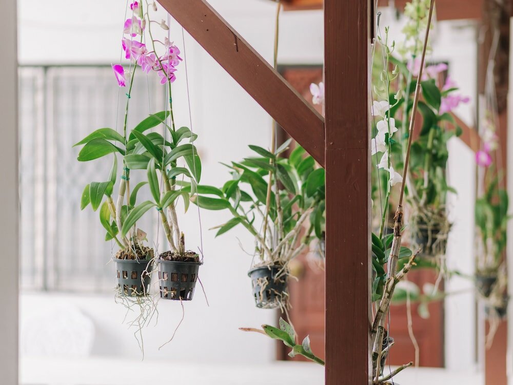 Фото Rendezvous Oldtown Chiangmai