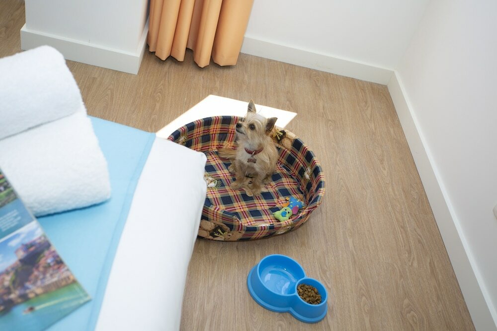 Фото Casual Raizes Porto