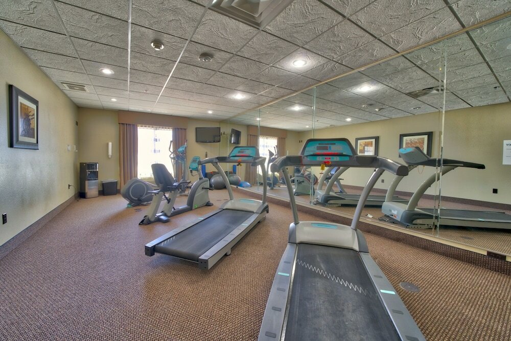 Фото Holiday Inn Express Hotel & Suites Lubbock South, an Ihg Hotel