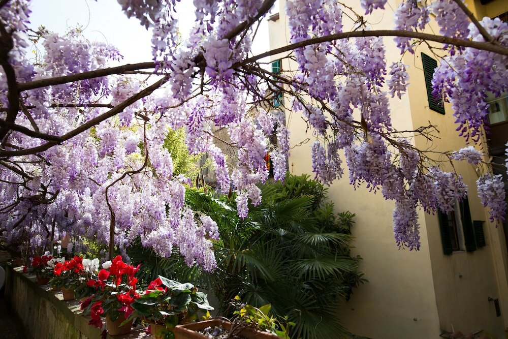 Фото Locanda Orchidea - B&b