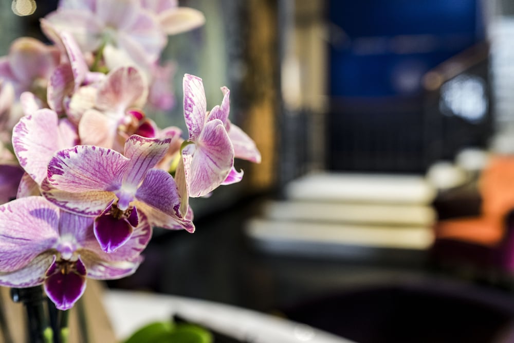 Фото Hotel Bella Riva