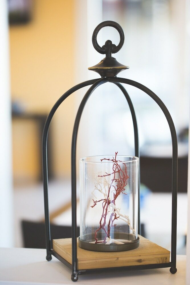 Фото Lu' Hotel Riviera