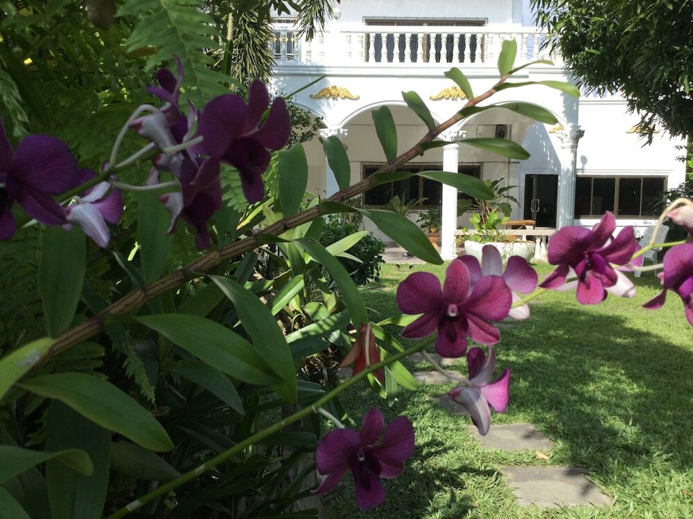 Фото White Elephant Resort