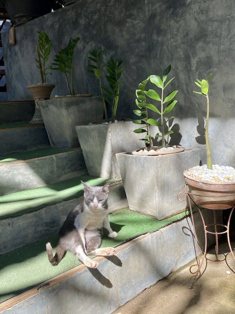 Фото Family House @ Pai