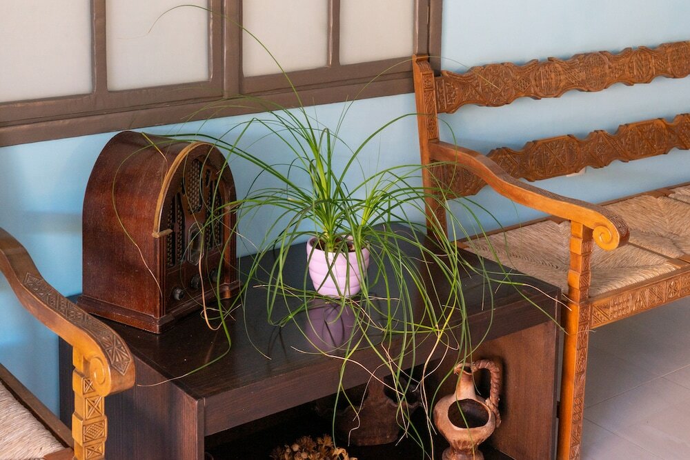 Фото Thalassi Hotel