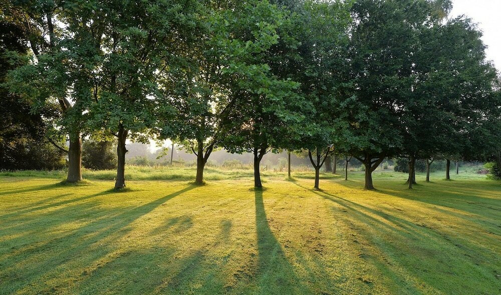 Фото The Elms Hotel and SPA