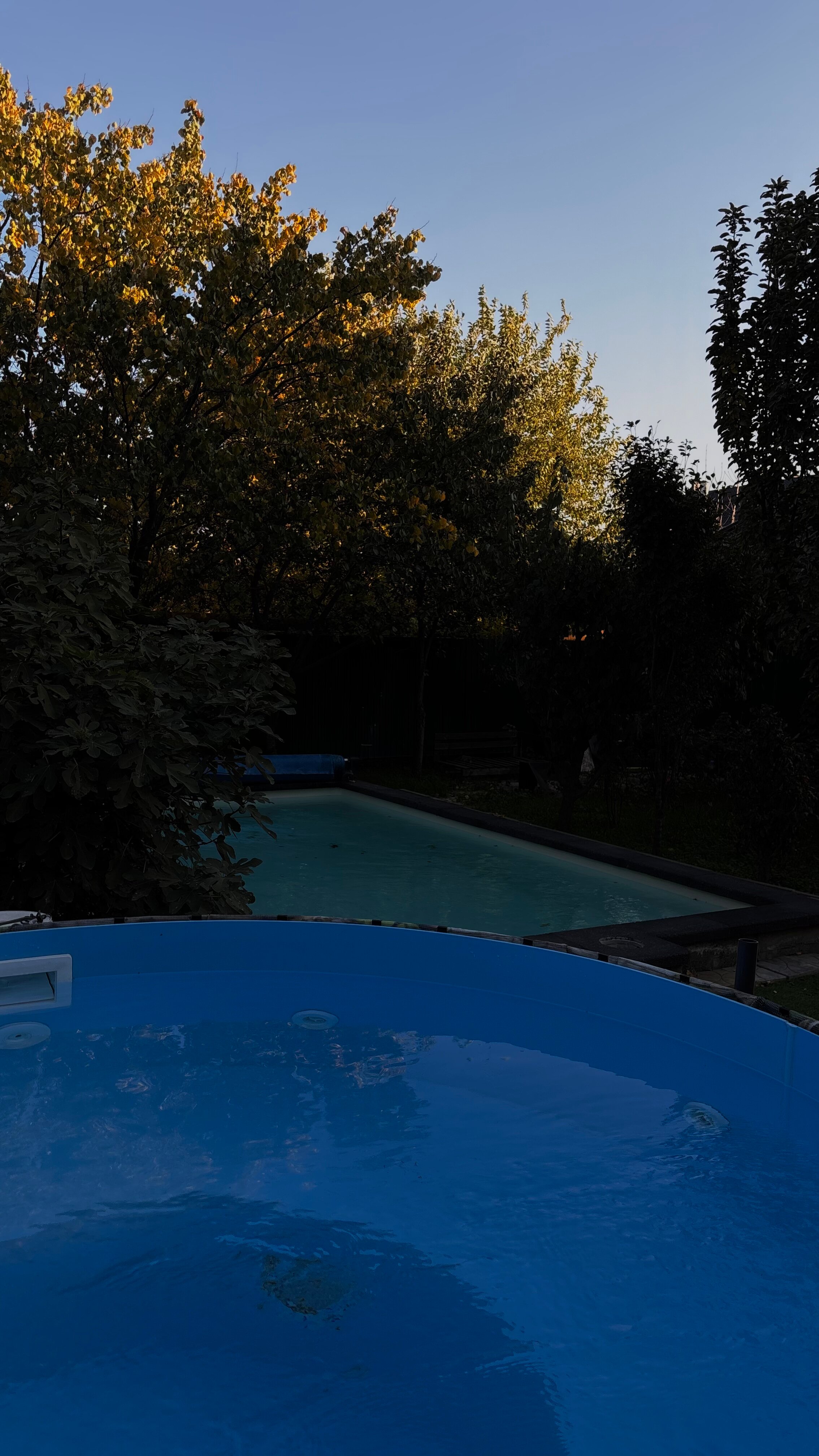 Фото Pool&Пар