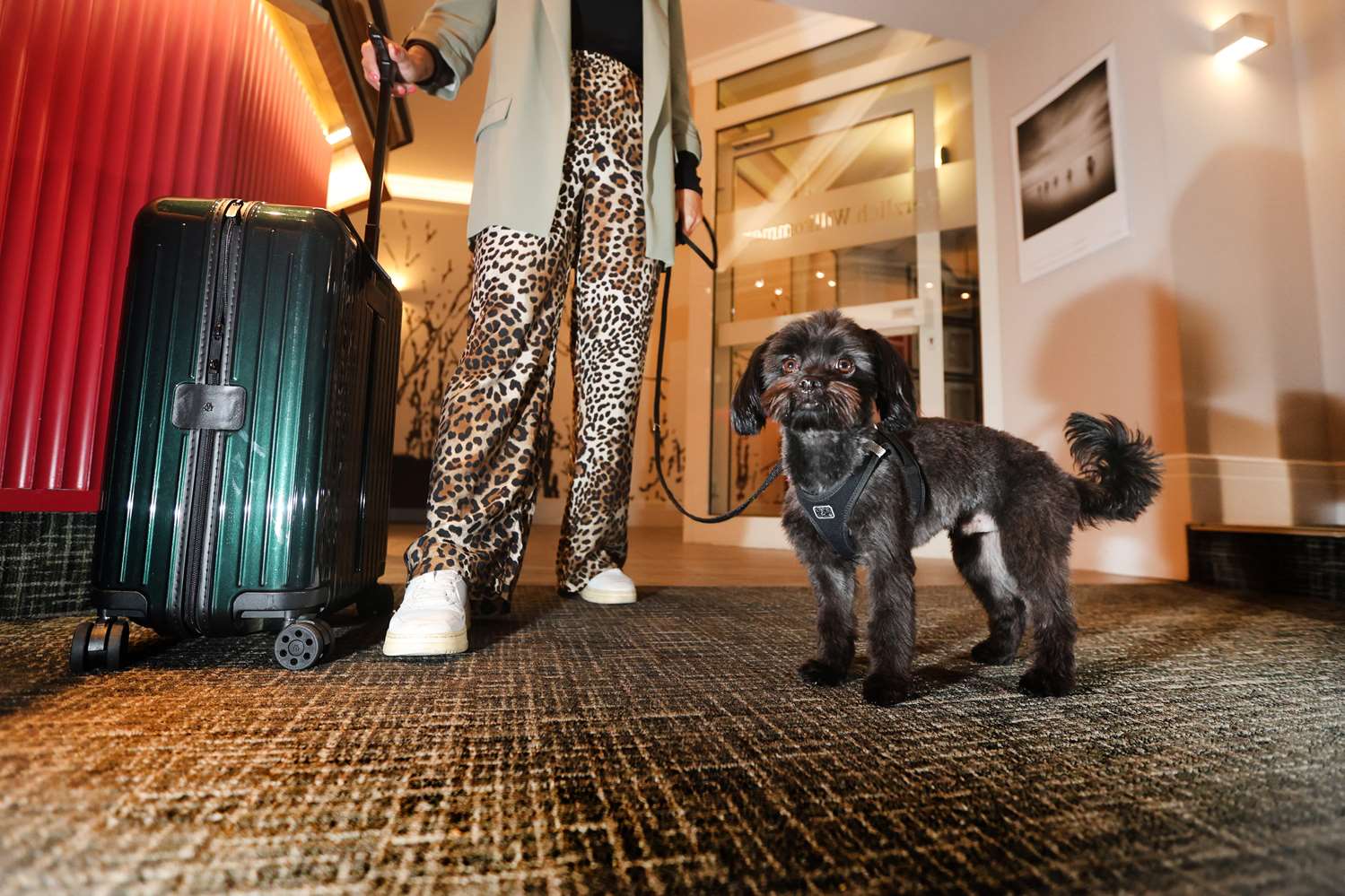 Фото Best Western Hotel Windorf