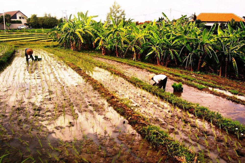 Фото Grandpa Guest House