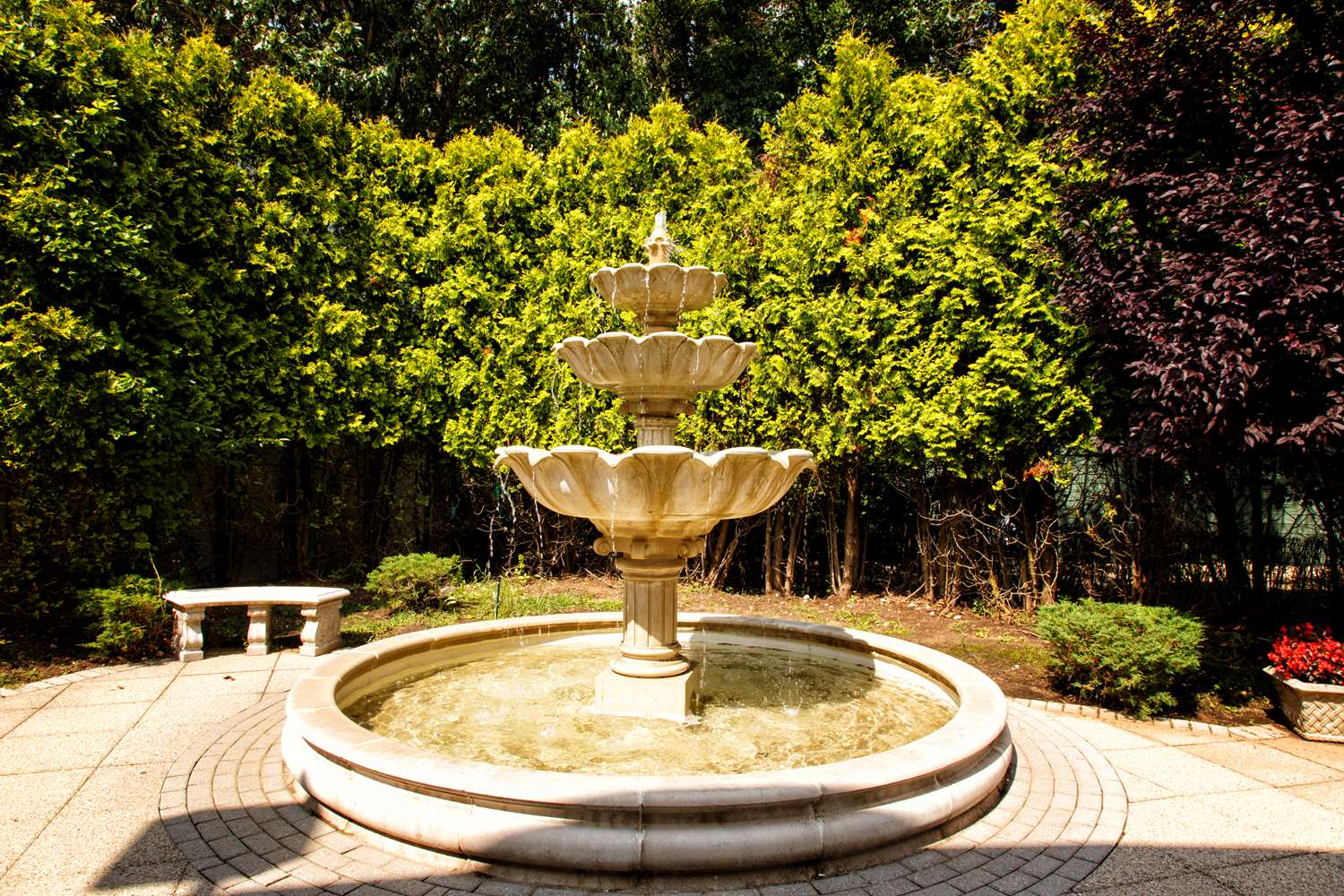 Фото Hilton Garden Inn New York/Staten Island