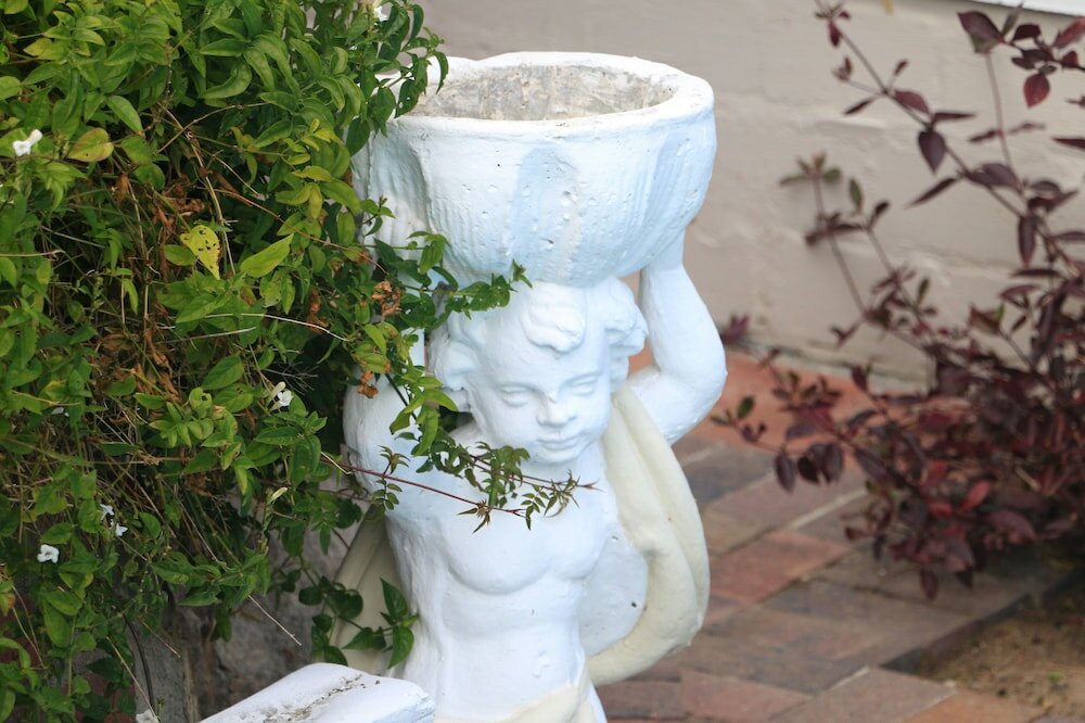 Фото Paradiso Guest House