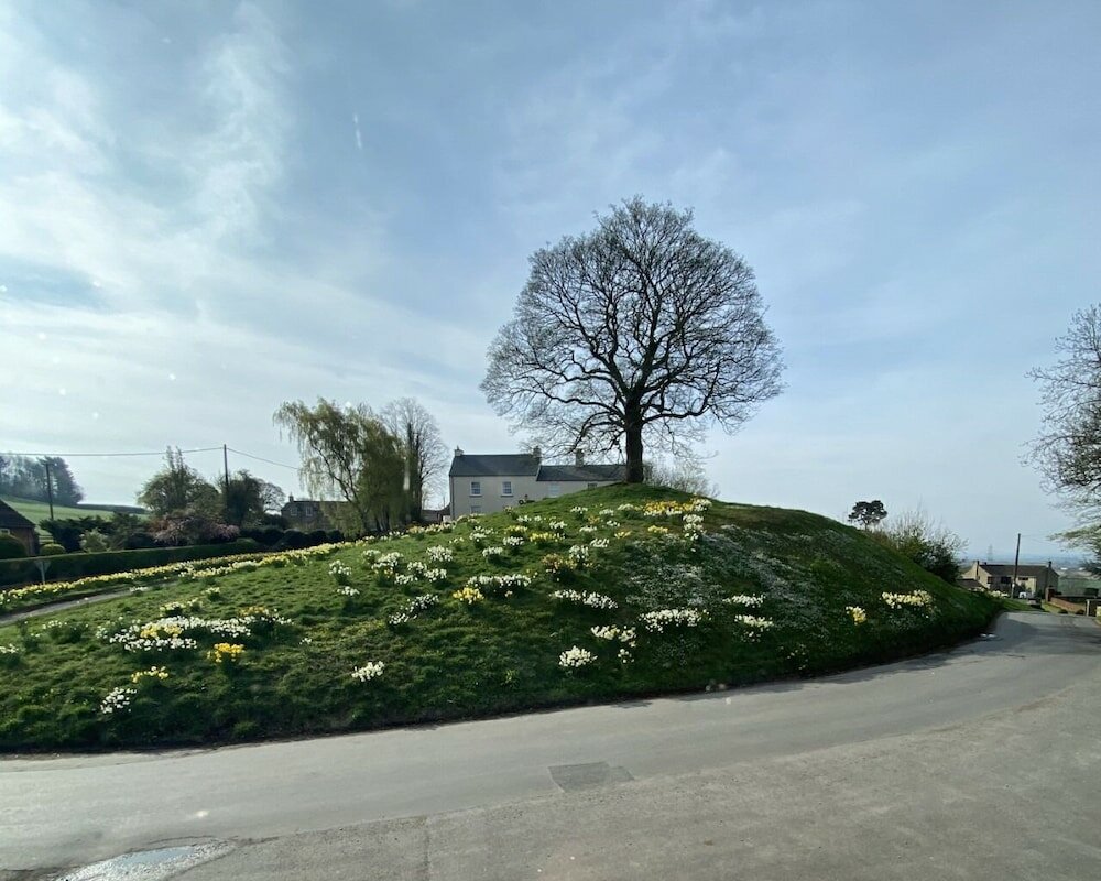 Фото The Carpenters Arms