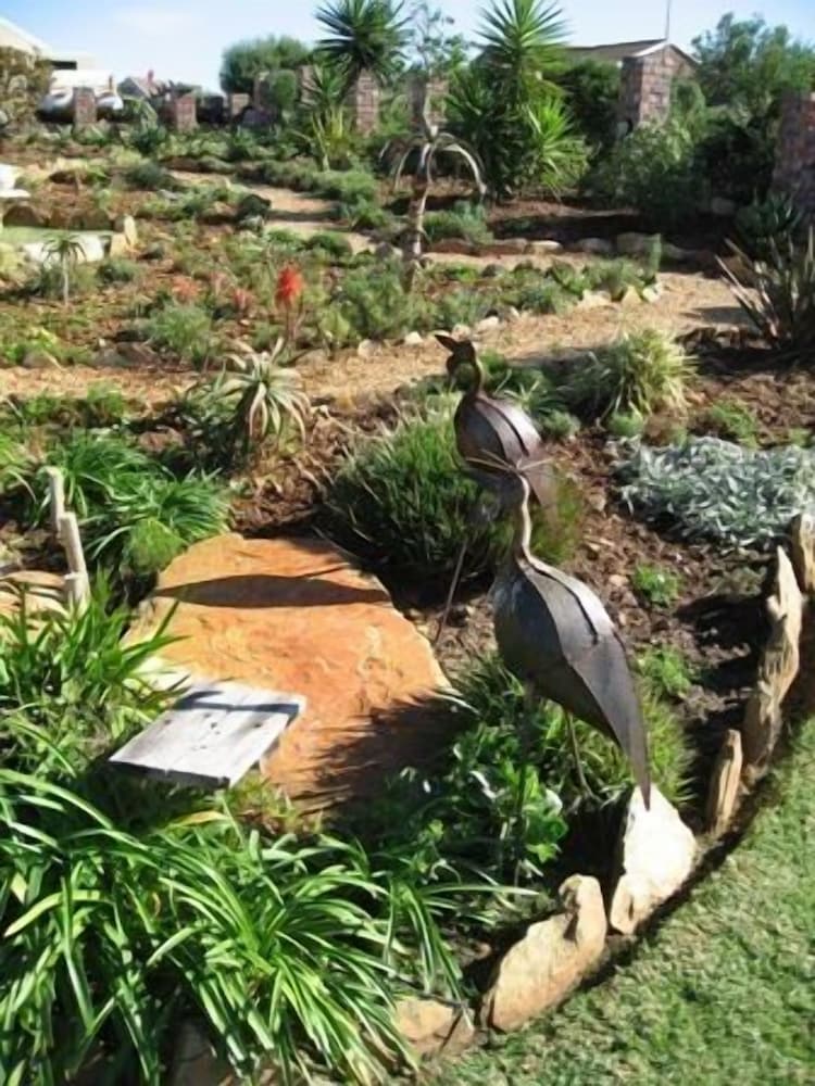 Фото Dolphin View Guesthouse