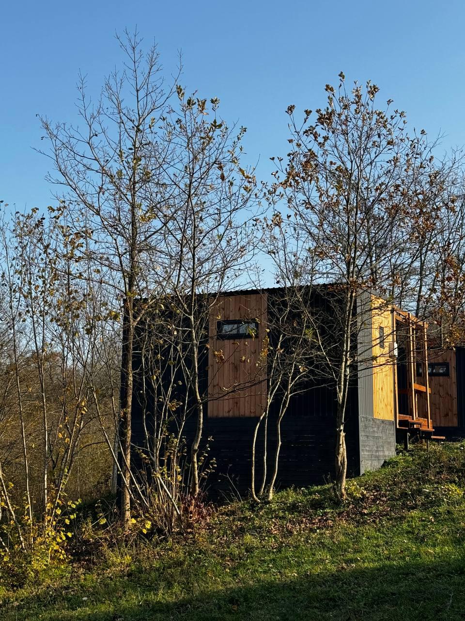 Фото Ширванка Lux