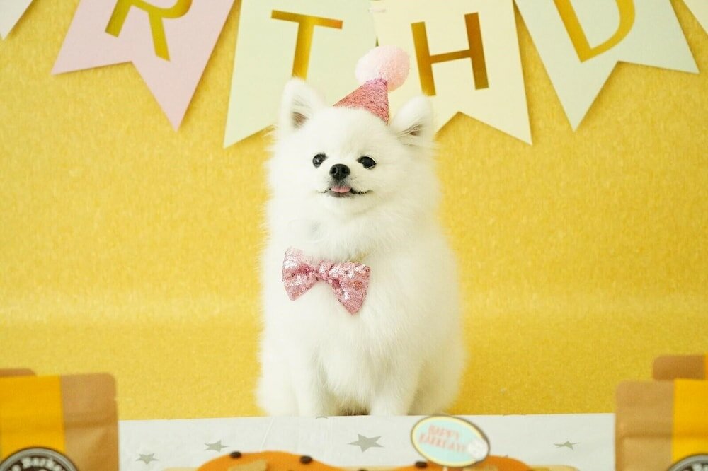 Фото Holiday Inn Express Manhattan Times Square South