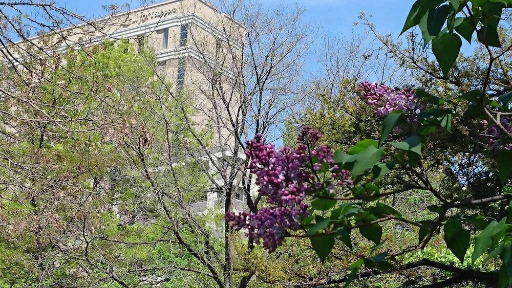 Фото Hotel Lifort Sapporo