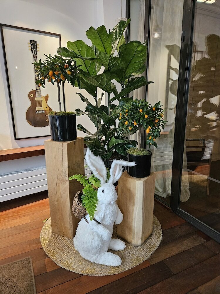 Фото Hotel Le Colisee