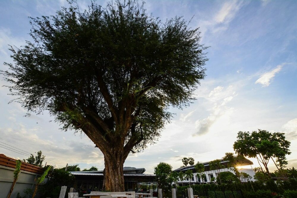 Фото By Hotel Kanchanaburi