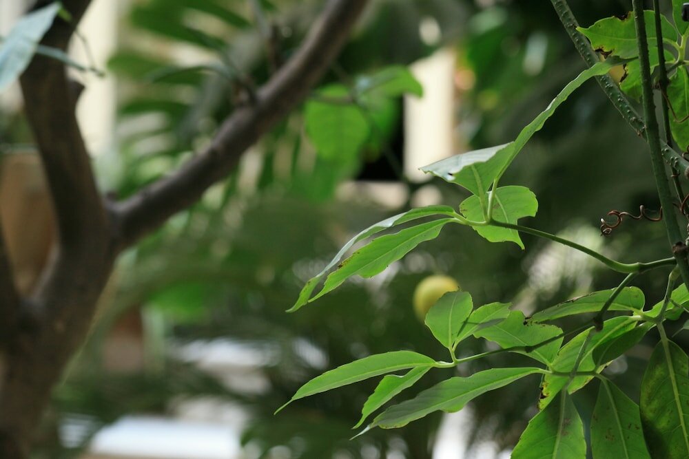 Фото Casa Barbero Charme