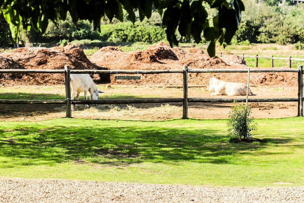 Фото Gerald's Gift Guest House