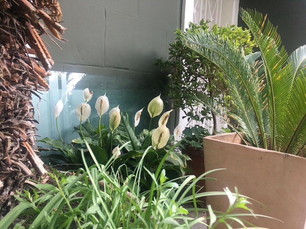 Фото Gordons Guesthouse