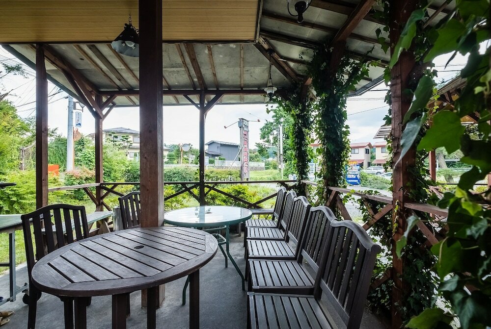 Фото Lupinus Kawaguchiko