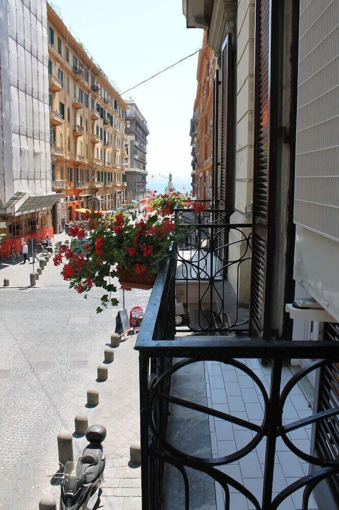 Фото 185849987177