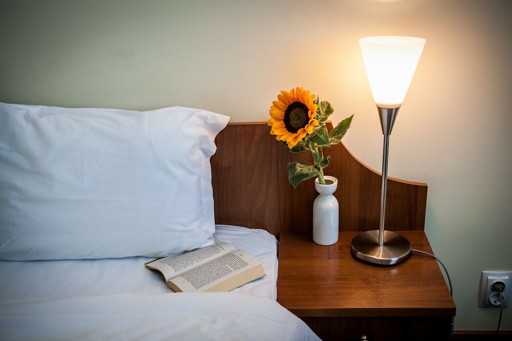 Фото Hemus Hotel Sofia