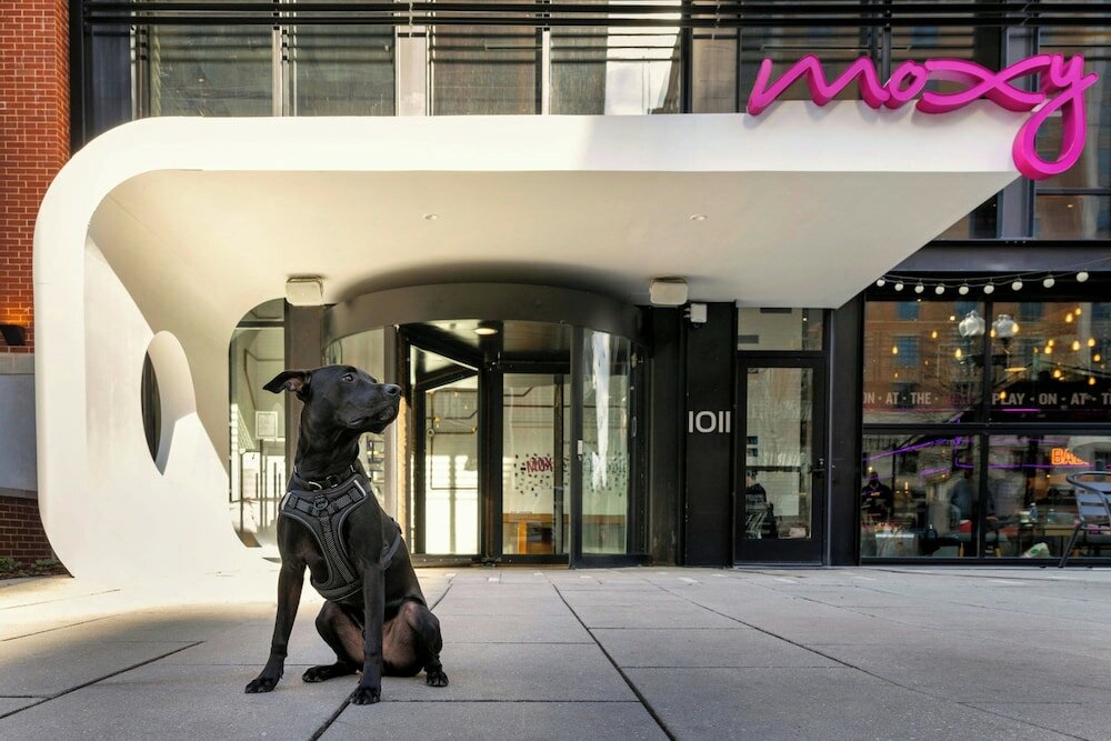 Фото Moxy Washington Dc Downtown