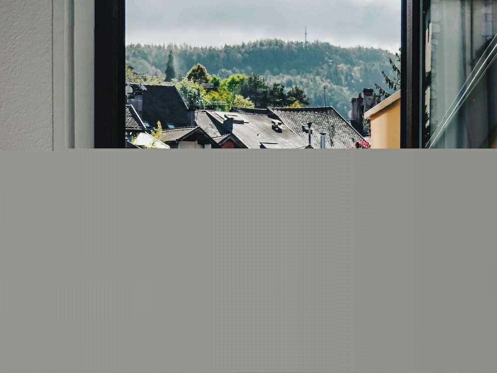 Фото Ibis Annecy Centre Vieille Ville