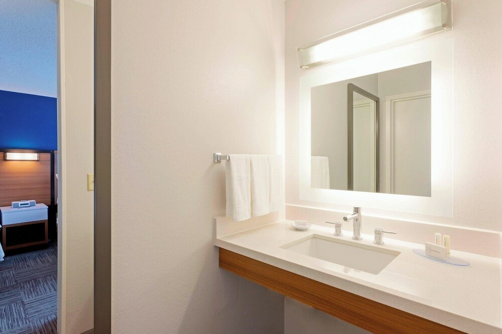 Фото SpringHill Suites by Marriott Rochester-Mayo Clinic/St Marys