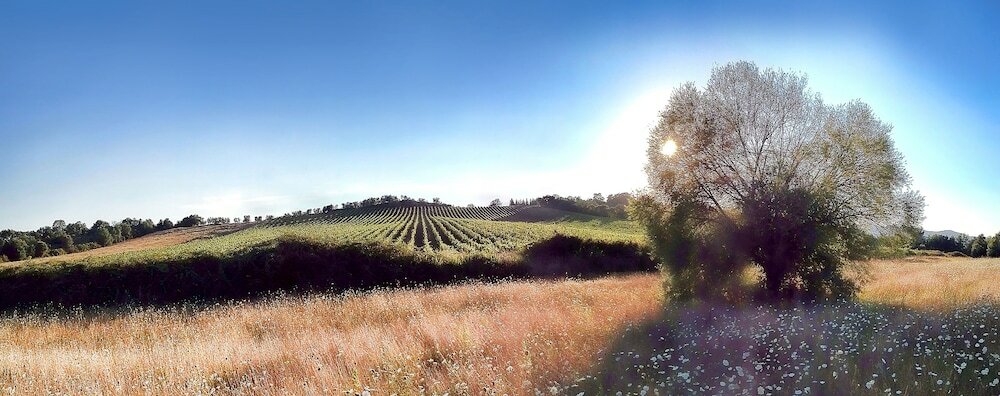 Фото Montebelli Agriturismo & Country Hotel