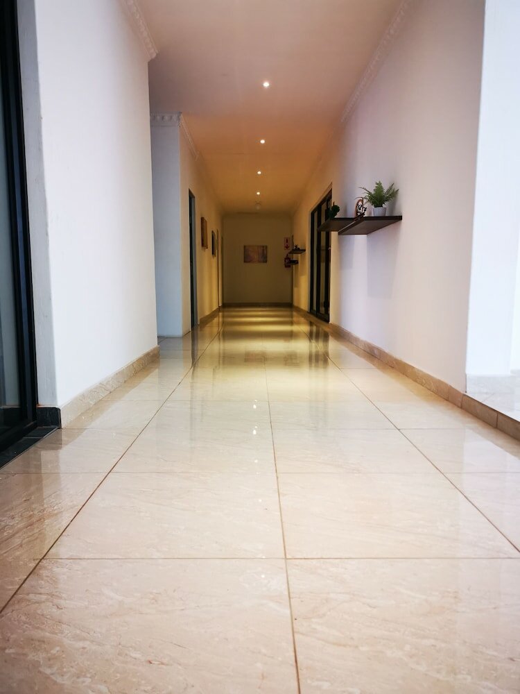 Фото Green Olive Panorama