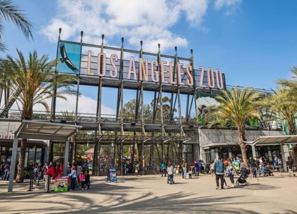 Фото The Hotel Hollywood