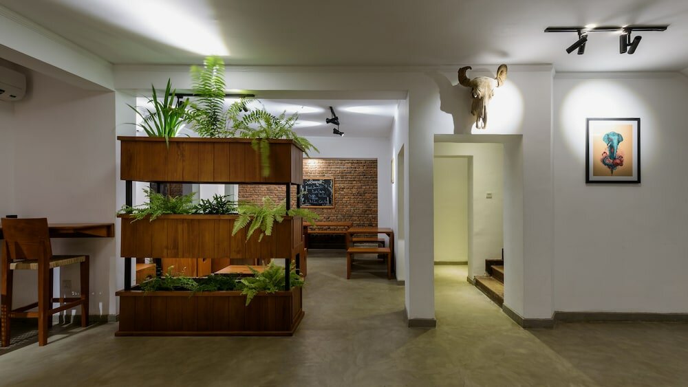 Фото Fern Colombo