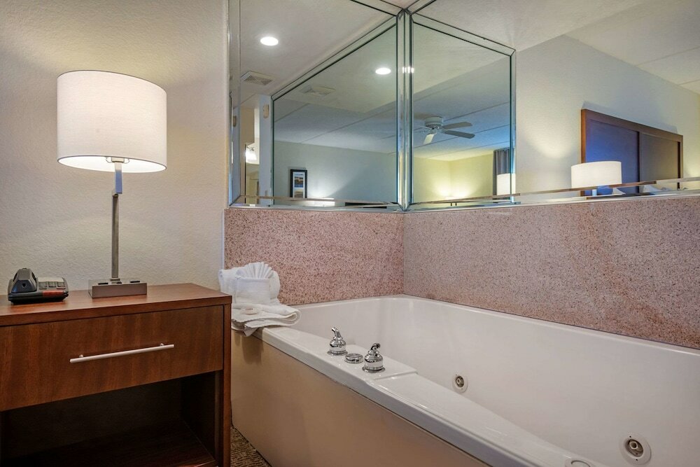 Фото Comfort Inn Kissimmee-Lake Buena Vista South