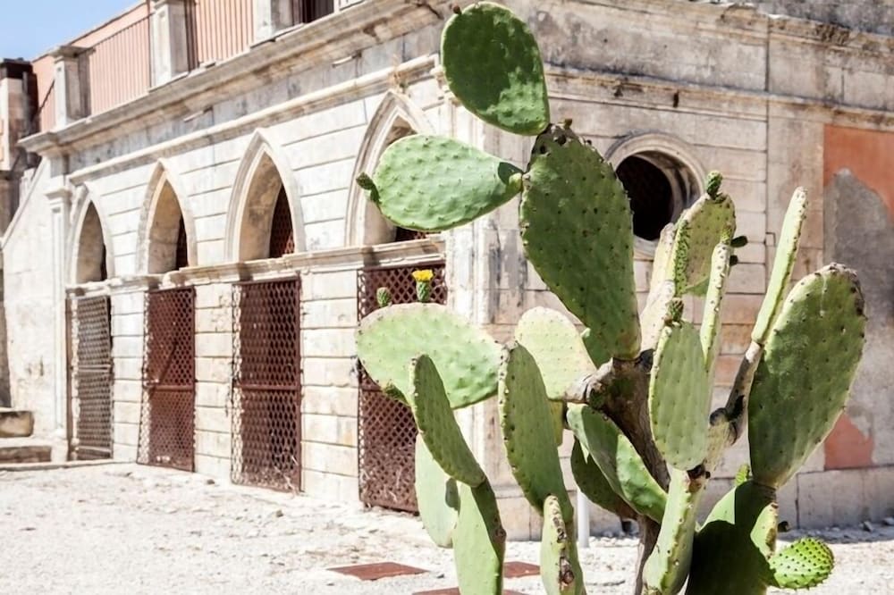 Фото Feudo Bauly