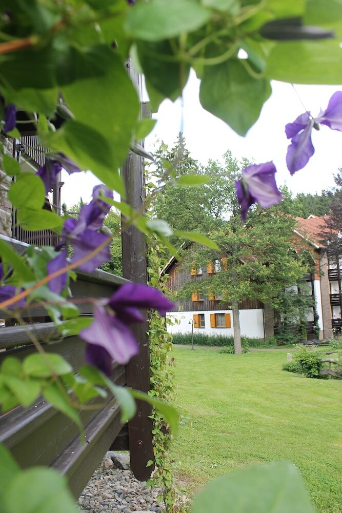 Фото Hapimag Resort Braunlage