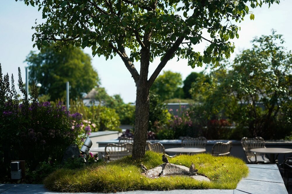 Фото Hotel Marina